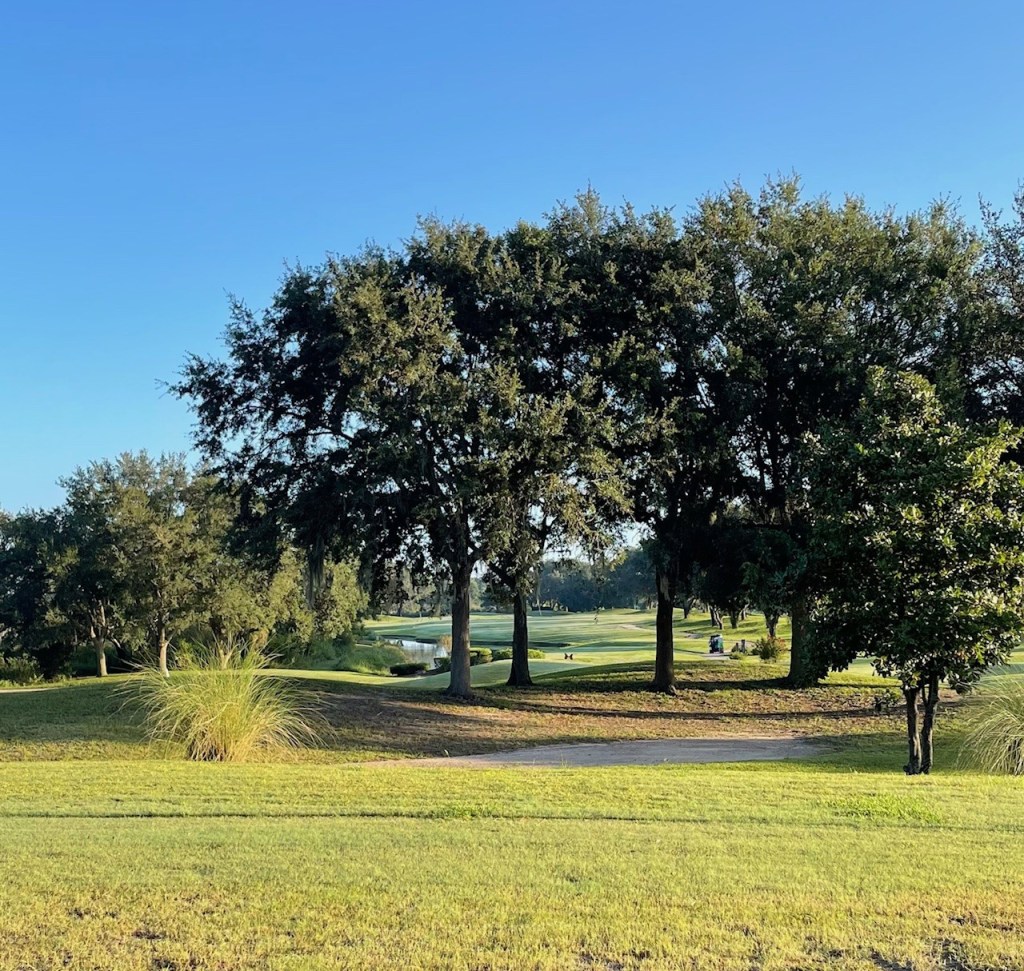 Trees over fairway at golf course green