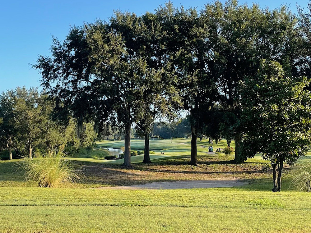 Fairway Trees