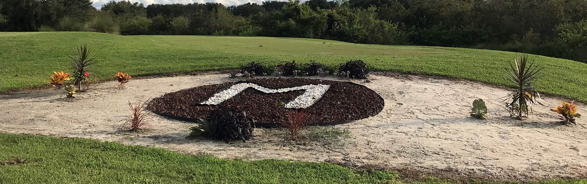 Image of golf ball on tee on grass.
